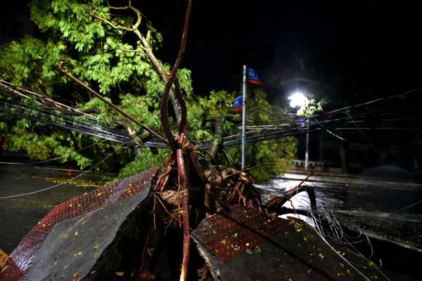 Árvore caiu na Avenida Rio Branco, em Vitória, e atingiu fios da rede elétrica