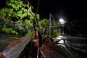 Árvore caiu na Avenida Rio Branco, em Vitória, e atingiu fios da rede elétrica(Fernando Madeira)