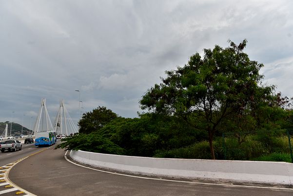 Criminosos usam área debaixo da Ponte da Passagem e manguezal para descartar resíduos oriundos dos furtos de fios de cobre na região da Ufes  por Fernando Madeira