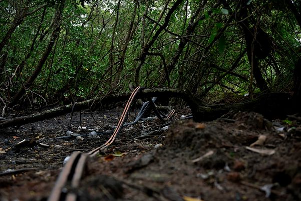 Criminosos usam área debaixo da Ponte da Passagem e manguezal para descartar resíduos oriundos dos furtos de fios de cobre na região da Ufes  por Fernando Madeira