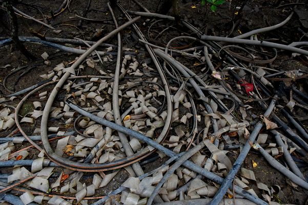 Criminosos usam área debaixo da Ponte da Passagem e manguezal para descartar resíduos oriundos dos furtos de fios de cobre na região da Ufes  por Fernando Madeira