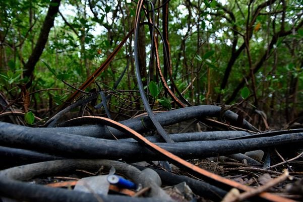 Criminosos usam área debaixo da Ponte da Passagem e manguezal para descartar resíduos oriundos dos furtos de fios de cobre na região da Ufes  por Fernando Madeira