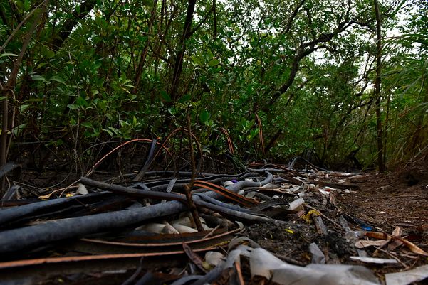 Criminosos usam área debaixo da Ponte da Passagem e manguezal para descartar resíduos oriundos dos furtos de fios de cobre na região da Ufes  por Fernando Madeira
