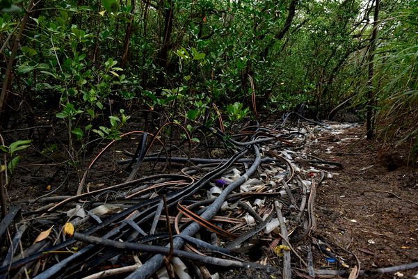 Criminosos usam área debaixo da Ponte da Passagem e manguezal para descartar resíduos oriundos dos furtos de fios de cobre na região da Ufes  por Fernando Madeira