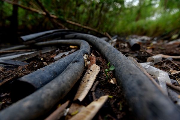 Criminosos usam área debaixo da Ponte da Passagem e manguezal para descartar resíduos oriundos dos furtos de fios de cobre na região da Ufes  por Fernando Madeira