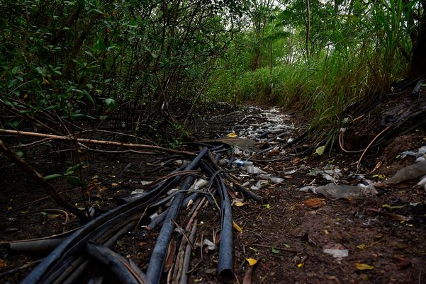 Criminosos usam área debaixo da Ponte da Passagem e manguezal para descartar resíduos oriundos dos furtos de fios de cobre na região da Ufes  por Fernando Madeira