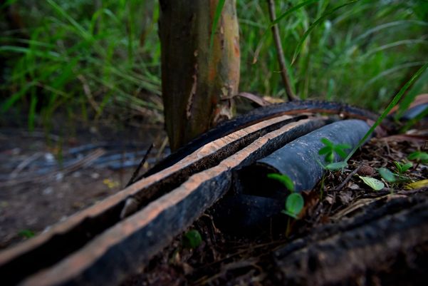 Criminosos usam área debaixo da Ponte da Passagem e manguezal para descartar resíduos oriundos dos furtos de fios de cobre na região da Ufes  por Fernando Madeira