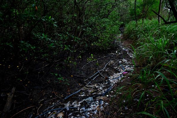 Criminosos usam área debaixo da Ponte da Passagem e manguezal para descartar resíduos oriundos dos furtos de fios de cobre na região da Ufes  por Fernando Madeira