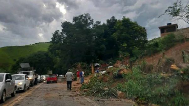 Queda de árvores após chuva fecha rodovia em Alegre