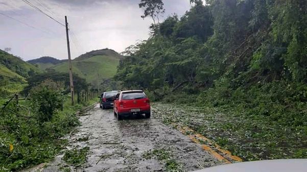Queda de árvores após chuva fecha rodovia em Alegre
