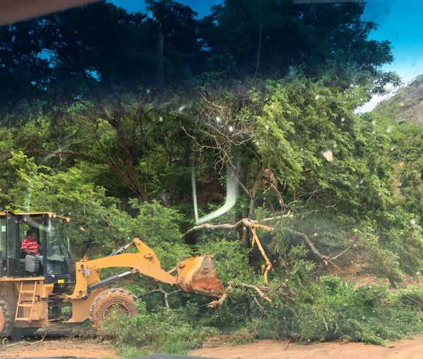 O município de Barra de São Francisco registrou quatro quedas de árvore no sábado (20) por Divulgação | Defesa Civil de Barra de São Francisco