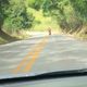 Imagem - Vídeo: motorista flagra acidente com motociclista em rodovia do ES