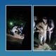 Imagem - Vídeo: morador é resgatado após tentar atravessar ponte no ES