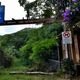 Imagem - Acesso ao Parque da Fonte Grande aparenta estar abandonado, em Vitória