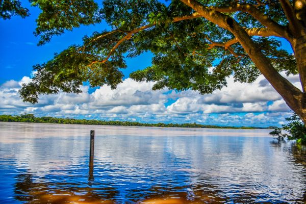 Rio Doce em Linhares, Norte do ES