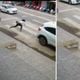 Imagem - Vídeo: capixaba vira meme após cair no meio da rua em Nova Venécia