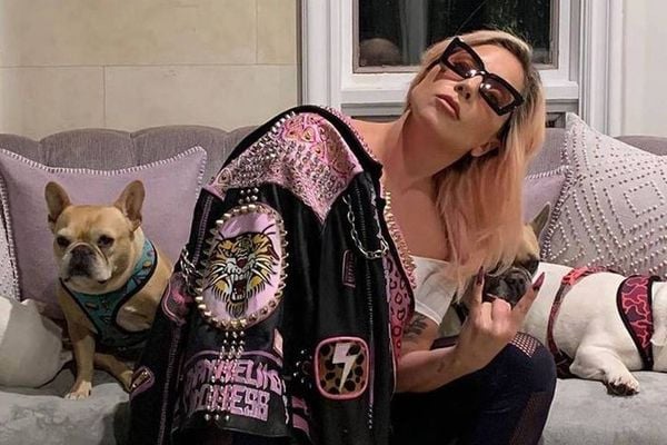 Lady Gaga com seus cachorros