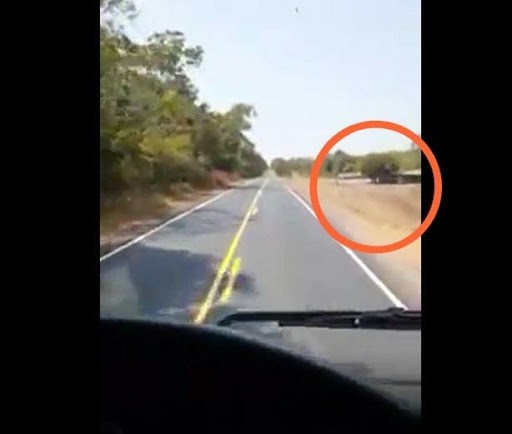 Passando a Limpo: Vídeo atribui a Bolsonaro obras em estradas no MT feitas também por outros governos