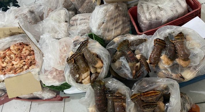 Os pescados apreendidos pela Polícia Militar Ambiental estavam sem nota fiscal, declaração de estoque nem nota de origem; um homem foi detido