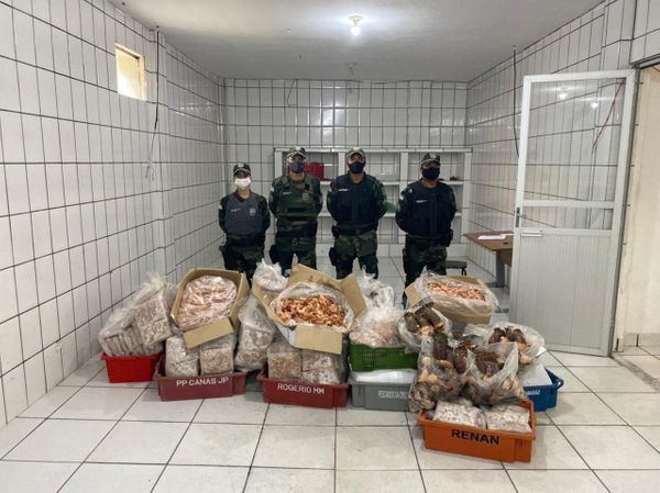 A Polícia Militar Ambiental apreendeu mais de 700kg de camarões e lagostas com irregularidades