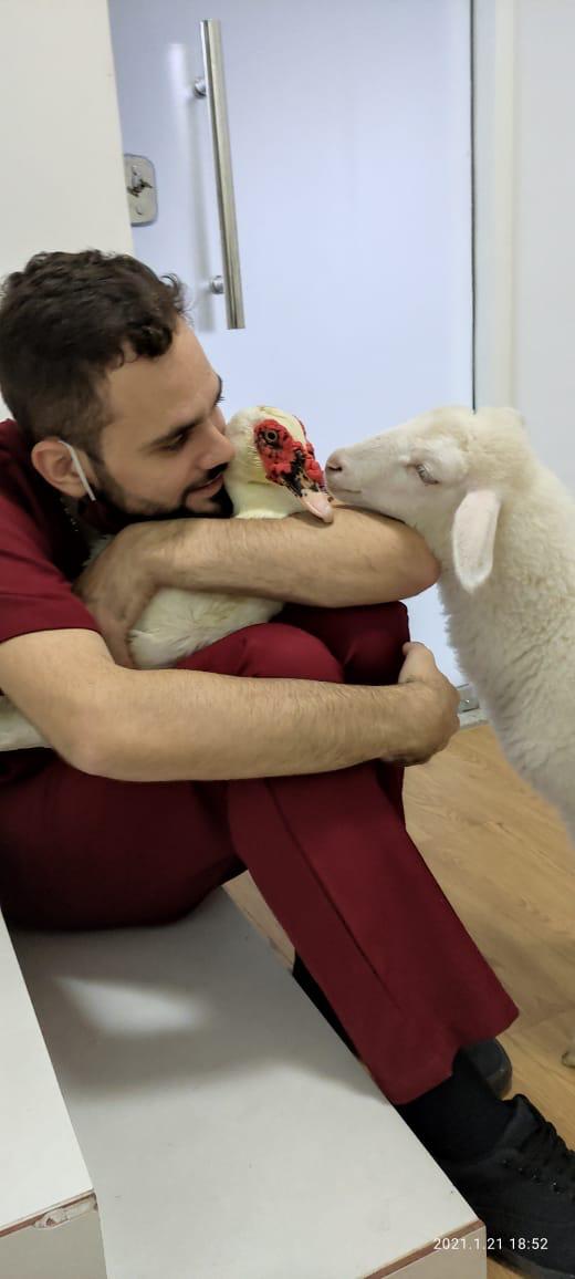 O dia a dia de Tapioca por Kristal Furno