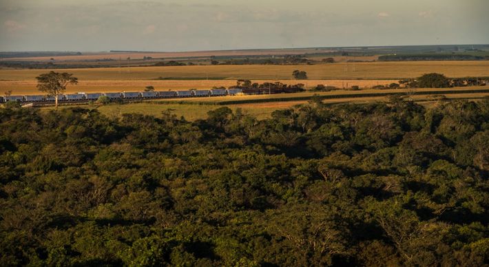 Governo capixaba se uniu a outros Estados, cobrou posições do governo federal e apresentou estudos feitos pela Findes para buscar investimentos que melhorem a infraestrutura do ES. Ações resultaram na formação de um grupo de trabalho