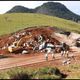 Imagem - BR 101 voltará a ser interditada para obra entre Guarapari e Anchieta