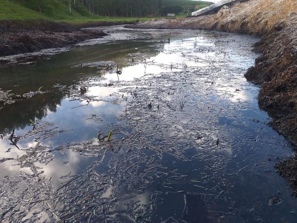 undefined por Divulgação/Sesp