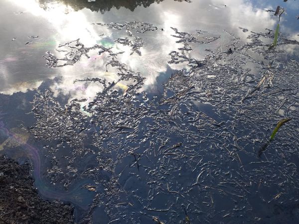 undefined por Divulgação/Sesp