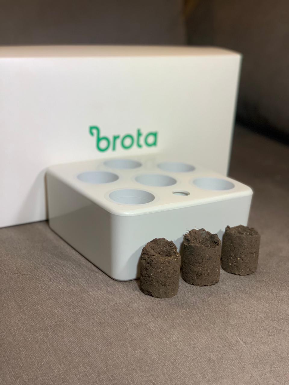 Brota, startup que criou horta inteligente e autônoma