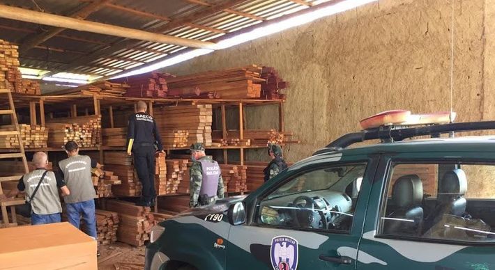 O objetivo é desarticular um grupo que praticava crimes ambientais de desmatamento e tráfico de madeira nativa no Noroeste do ES; 35 mandados de busca e apreensão foram cumpridos