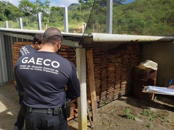 MPES deflagra operação contra desmatamento e tráfico de madeira no Noroeste do ES