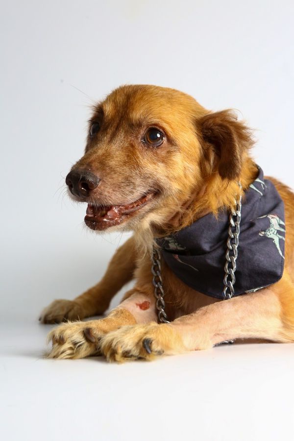 Valentim por Adessandro Reis | PMVV