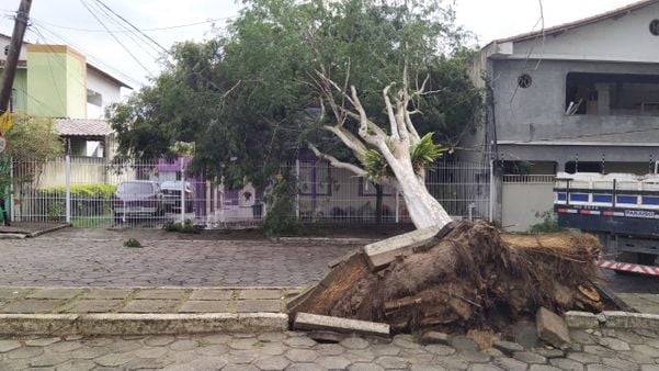 undefined por Eduardo Dias e telespectadores da TV Gazeta Norte