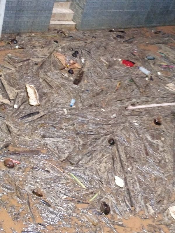 Enchente em alegre por Paulo Avilez