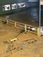 Enchente no bairro Vila Viana, em Alegre(Paulo Avilez)