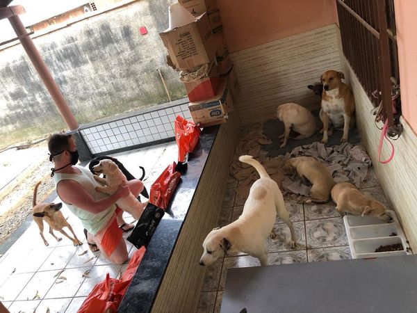 Médico troca consulta por ração para ajudar animais abandonados no ES