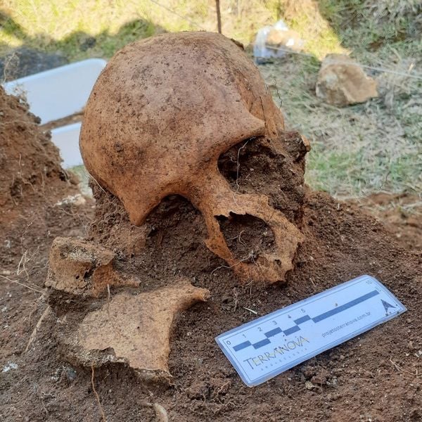 Dezenas de ossadas humanas foram encontradas  por Acervo Instituto Modus Vivendi