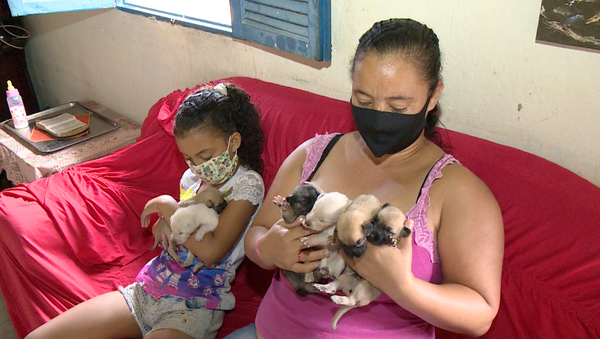 dona de casa, Ana Paula Pereira, conta que a cadela, Lessy