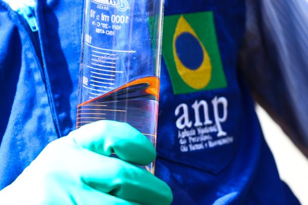 Força-tarefa integrada pela Agência Nacional do Petróleo, Gás Natural e Biocombustí­veis (ANP), Procon e Inmetro fiscaliza postos revendedores de combustí­veis em Brasília