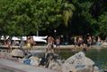 Banhistas na Ilha do Frade, em Vitória, neste domingo (28)(Fernando Madeira)