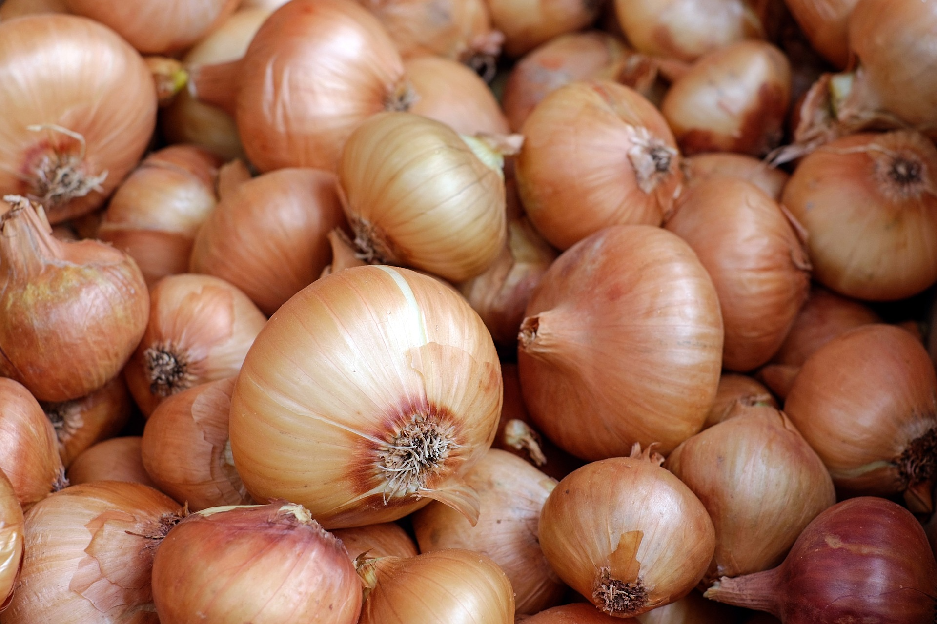 O Procon de Vitória divulgou uma pesquisa comparativa de preços relacionados à Páscoa, em 2021. Produtos como a cebola podem ser encontrados em marcados da capital sendo comercializados por uma diferença de preços de 100%. Crédito: Pixabay