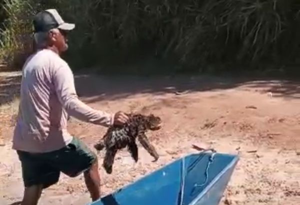 Pescadores dão carona e ajudam bicho-preguiça a sair de lagoa de Linhares