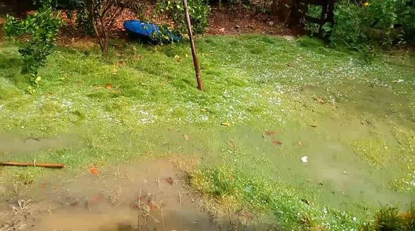 Quintal de moradora em Jeronimo Monteiro 