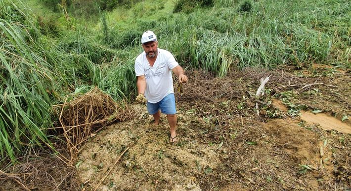 Segundo a Defesa Civil, alguns produtores perderam toda safra de café conilon faltando menos de um mês para o início da colheita