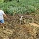 Imagem - Chuvas provocam prejuízos em lavouras de café de São Domingos do Norte