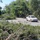 Imagem - Vídeo: após temporal, árvores caem e causam interdições na BR 262 no ES