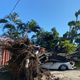 Imagem - Ventania derruba árvore sobre carros em bairro de Vila Velha