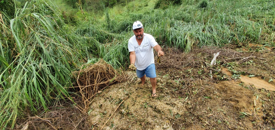 Ventos intensos atingem pontuais áreas de lavouras de café conilon