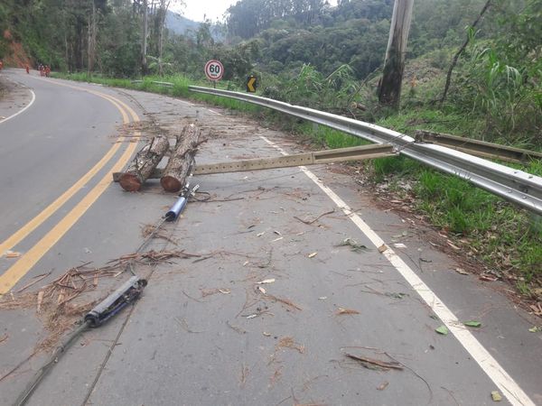 Queda de árvores interdita ES 164 em Vargem Alta por Divulgação/DER